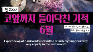 [대박타로]😎소름 기적체험..200%✨👀와..🔥이걸맞춰?!⁉️소름🔥💖한달안에 들이닥칠 기적 소식💎😎