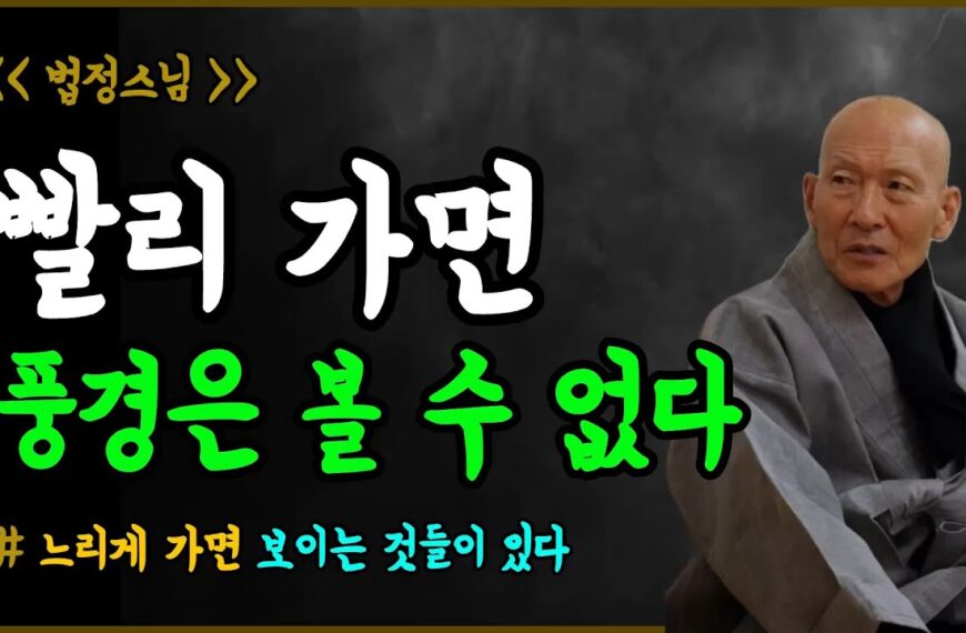 멈추지 않았다면, 난 평생 못 봤을 것이다ㅣ법정스님, 명언,…